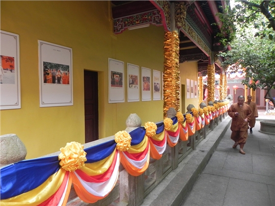 �������»���