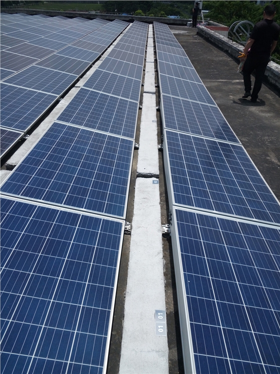 ���ı�ʶ��������