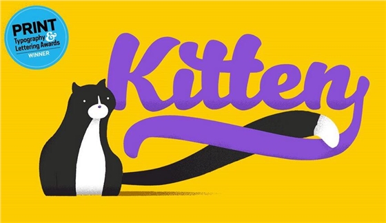 宠物连锁店vi形象九游球赛-九游(中国) 宠物连锁店vi形象九游球赛-九游(中国)