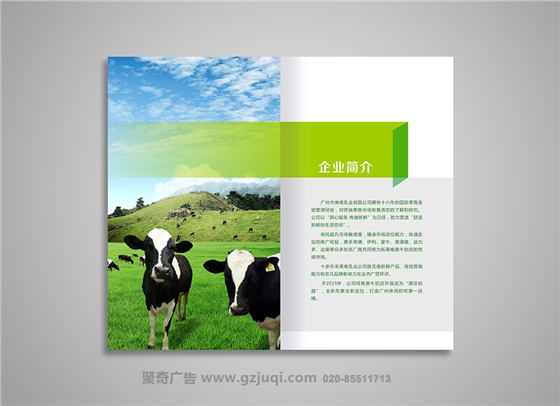 广州品牌画册九游球赛-九游(中国)公司 广州品牌画册九游球赛-九游(中国)公司