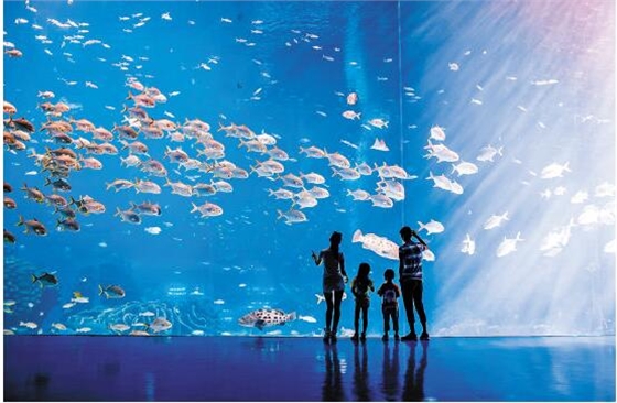 广东海洋展馆九游球赛-九游(中国)公司 广东海洋展馆九游球赛-九游(中国)公司