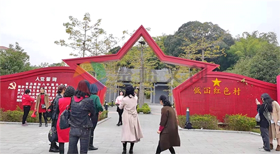 ����ɫ����