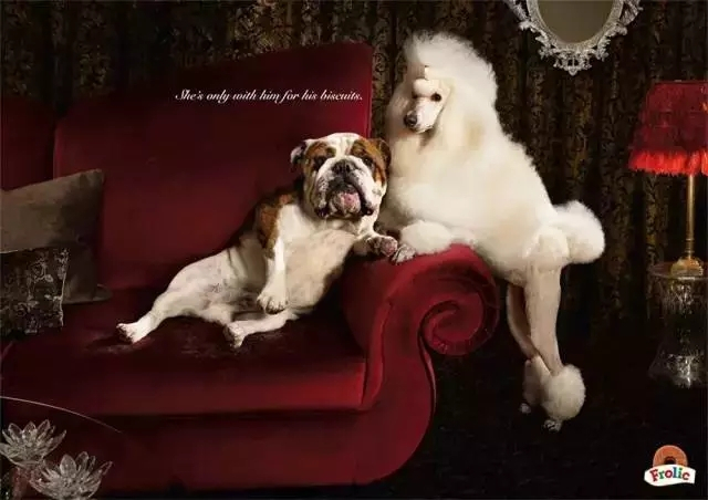 创意九游球赛-九游(中国)