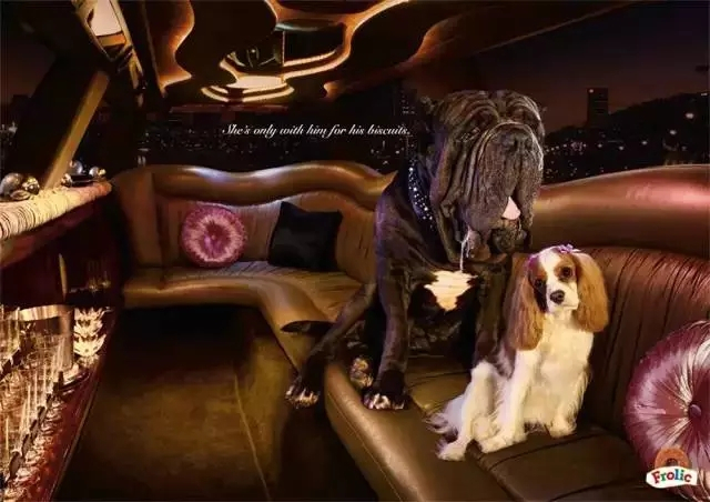 创意九游球赛-九游(中国)