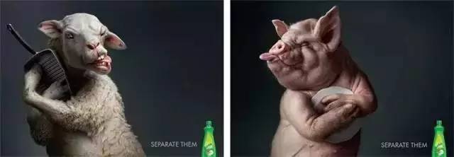 创意九游球赛-九游(中国) 创意九游球赛-九游(中国)