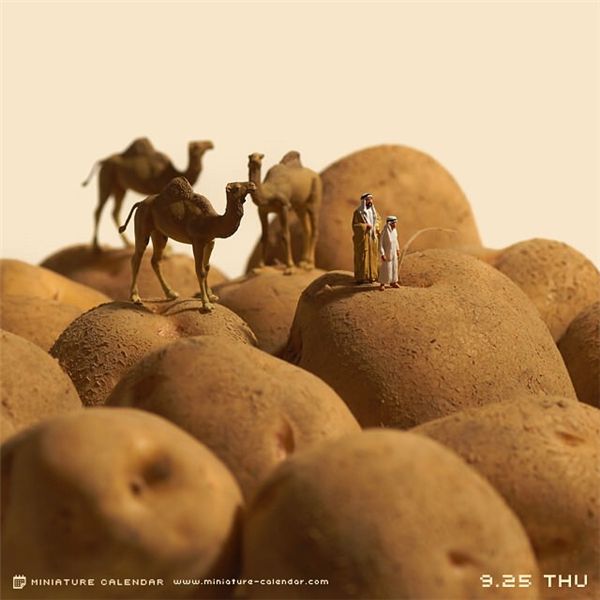 �����������-����(�й�)