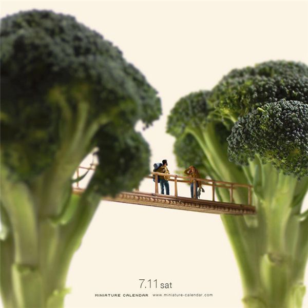 �����з�ľС��