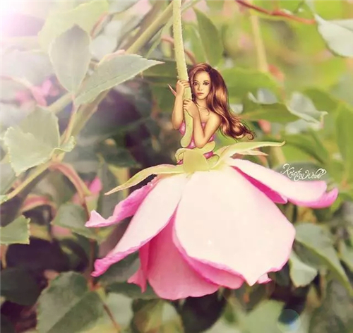 �������ֻ���