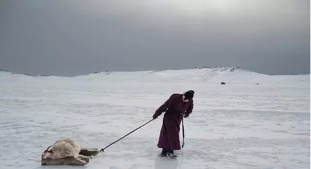 传统的广告行业在经历寒冬,只有户外广告最争气 传统的广告行业在经历寒冬,只有户外广告最争气