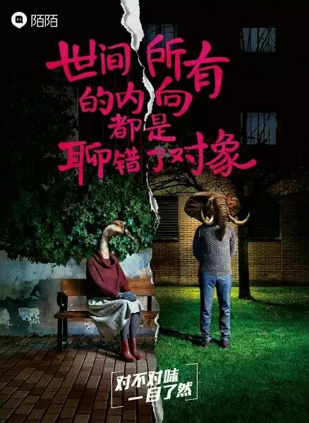 ���İ�����|��ֵ100000+�Ĺ���İ�