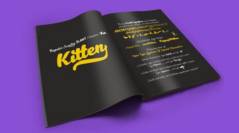 ����Ʒ�Ƴ����vi�����������-����(�й�)��˾