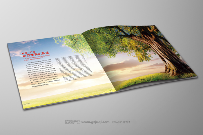 画册九游球赛-九游(中国)效果图 画册九游球赛-九游(中国)效果图