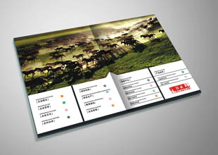 ����˫��������ҵ���������������-����(�й�)